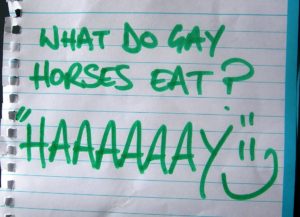 gay horse joke