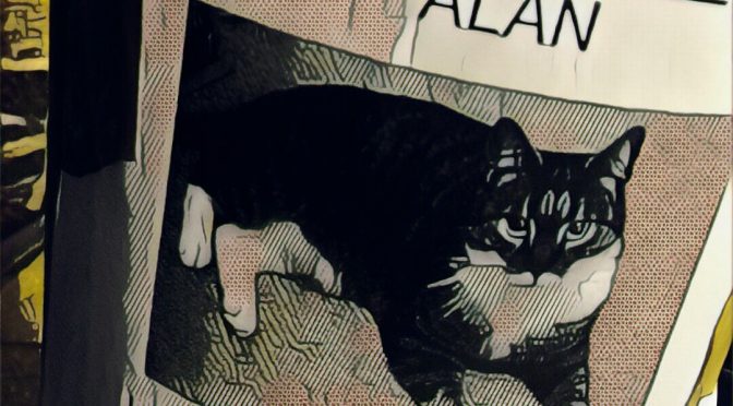 A cat named Alan